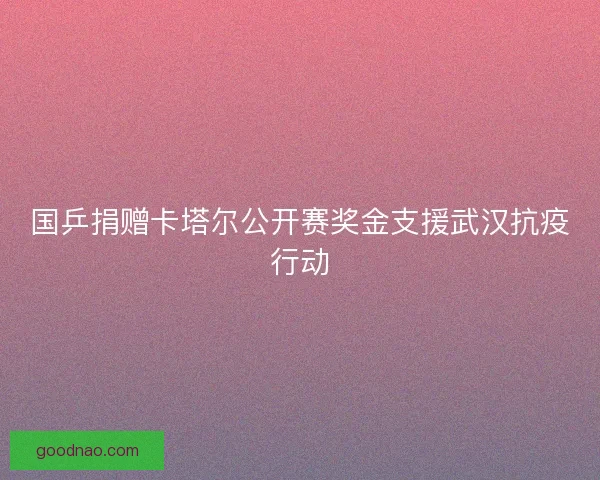 国乒捐赠卡塔尔公开赛奖金支援武汉抗疫行动