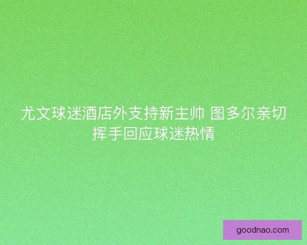 尤文球迷酒店外支持新主帅 图多尔亲切挥手回应球迷热情