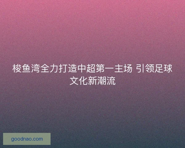 梭鱼湾全力打造中超第一主场 引领足球文化新潮流