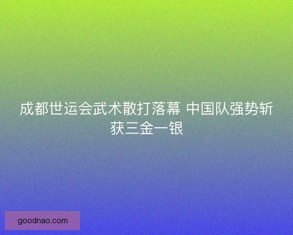 成都世运会武术散打落幕 中国队强势斩获三金一银